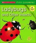 LadyBugs and Other Insects: Scholastic First Discoveries
