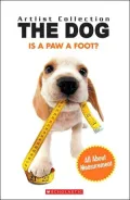 The Dog: Is a Paw a Foot? All About Measurement