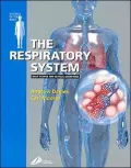 The Respiratory System