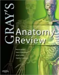 Gray's Anatomy Review
