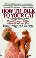 How to Talk to Your Cat