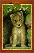 Baby Wolf