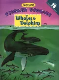 Whales & Dolphins