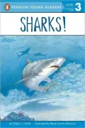 Sharks
