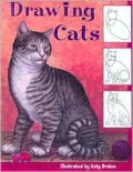 Drawing Cats