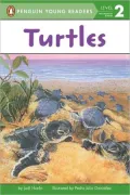 Turtles (All Aboard Science Reader)