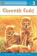 Cheetah Cubs: Station Stop 2