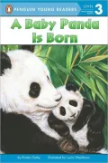 Baby Panda Is Born