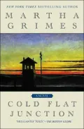 Cold Flat Junction (Emma Graham Series #2)