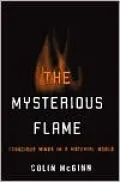 The Mysterious Flame: Conscious Minds in a Material World