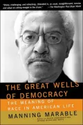 The Great Wells of Democracy: Reconstructing Race in America