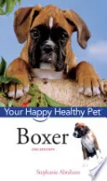 Book cover of Boxer