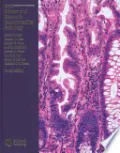 Morson and Dawson's Gastrointestinal Pathology by David W. Day — book cover