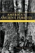 America's Ancient Forests