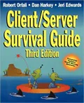 Client/Server Survival Guide