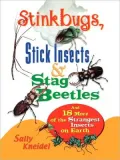 Stink Bugs, Stick Insects, and Stag Beetles : And 18 More of the Strangest Insects on Earth