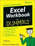 Excel Workbook for Dummies