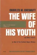 The Wife of His Youth and Other Stories
