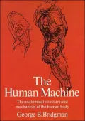 The Human Machine: The Anatomical Structure and Mechanism of the Human Body