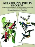 Audubon's Birds in Color