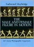 The Male & Female Figure in Motion