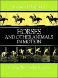 Horses & Other Animals in Motion