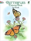 Butterflies Coloring Book