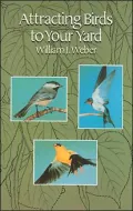 Attracting Birds to Your Yard