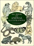 Big Book of Animal Illustrations
