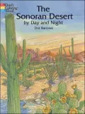 Sonoran Desert by Day and Night