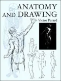 Anatomy and Drawing