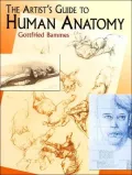 Artist's Guide to Human Anatomy (Dover Books on Anatomy)