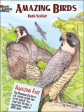 Amazing Birds