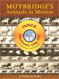 Muybridge's Animals in Motion