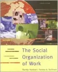 The Social Organization of Work