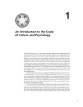 Culture and Psychology
