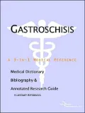 Gastroschisis: A Medical Dictionary, Bibliography, and Annotated Research Guide to Internet References