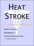 Heat Stroke: A Medical Dictionary, Bibliography, and Annotated Research Guide to Internet References
