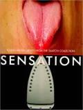 Sensation : Young British Artists from the Saatchi Collection