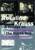 A Voyage on the North Sea : Art in the Age of the Post-Medium Condition