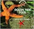 Ocean Tide Pool