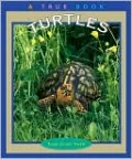 Turtles