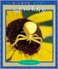 Spiders