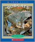 Bobcats
