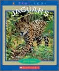 Jaguars