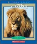 Lions