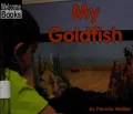 My Goldfish