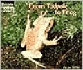 From Tadpole to Frog
