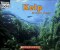 Kelp