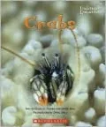 Crabs